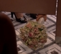 HIMYM113-00490.jpg