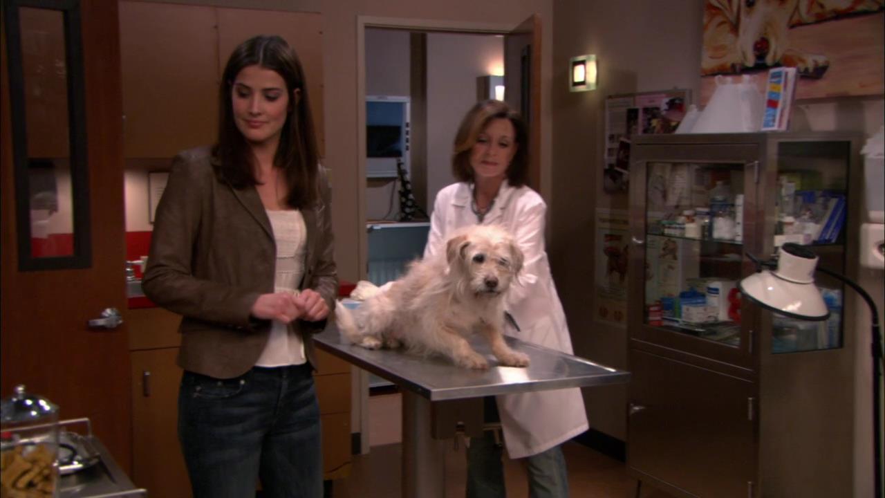 HIMYM122-00399.jpg