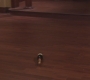 Filename=HIMYM312-00203.jpg
Filesize=63KiB
Dimensions=1280x720
Date added=Apr 22, 2017 HIMYM312-00203.jpg