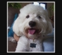 Filename=HIMYM316-00361.jpg
Filesize=71KiB
Dimensions=1280x720
Date added=Apr 22, 2017 HIMYM316-00361.jpg