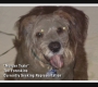 Filename=HIMYM316-00364.jpg
Filesize=78KiB
Dimensions=1280x720
Date added=Apr 22, 2017 HIMYM316-00364.jpg