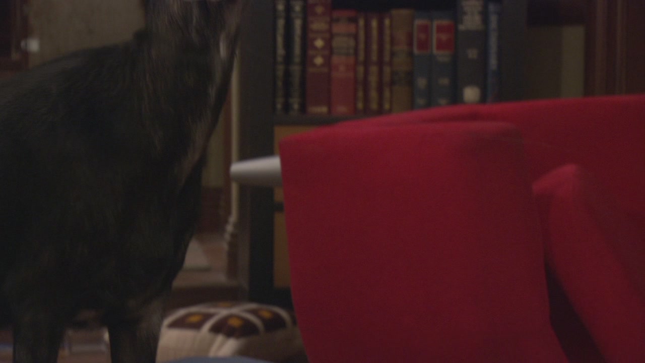 HIMYM424-0402.jpg