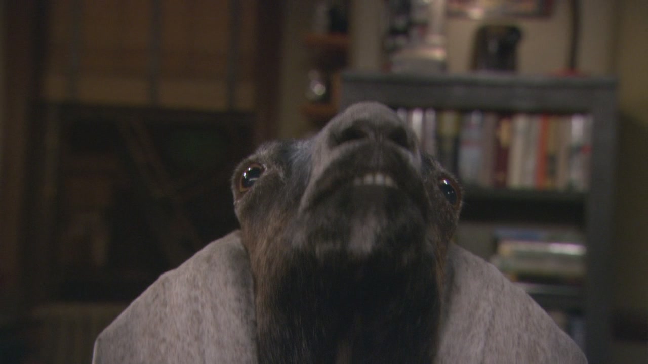 HIMYM424-0424.jpg