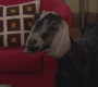 HIMYM424-0247.jpg