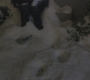 Filename=HIMYM516-00128.jpg
Filesize=77KiB
Dimensions=1280x720
Date added=Dec 14, 2011 HIMYM516-00128.jpg