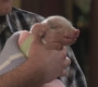 Filename=HIMYM516-00465.jpg
Filesize=77KiB
Dimensions=1280x720
Date added=Dec 14, 2011 HIMYM516-00465.jpg
