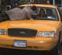 HIMYM604-00225.jpg