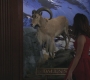 Filename=HIMYM608-00477.jpg
Filesize=90KiB
Dimensions=1280x720
Date added=Nov 11, 2010 HIMYM608-00477.jpg