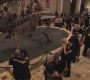 Filename=HIMYM608-00602.jpg
Filesize=131KiB
Dimensions=1280x720
Date added=Nov 11, 2010 HIMYM608-00602.jpg