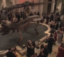 HIMYM608-00605.jpg