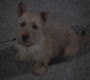Filename=HIMYM623-0522.jpg
Filesize=100KiB
Dimensions=1280x720
Date added=May 11, 2011 HIMYM623-0522.jpg