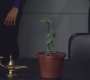 HIMYM724-00524.jpg