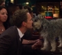 HIMYM805-00068.jpg