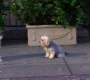 HIMYM805-00235.jpg