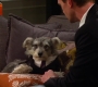HIMYM805-00375.jpg