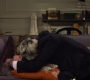 HIMYM805-00401.jpg