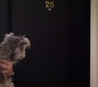 HIMYM805-00482.jpg
