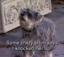 HIMYM805-00617.jpg