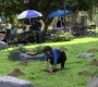HIMYM823-00260.jpg