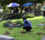 HIMYM823-00264.jpg